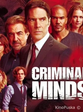 Мыслить как преступник (сериал, 2005) 1-18 сезон смотреть онлайн на Лордфильм