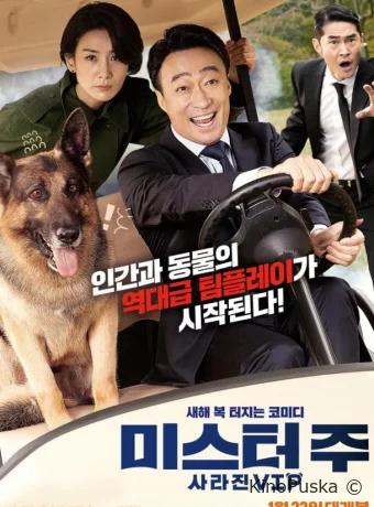 Миссия: Спасти панду (фильм, 2020) смотреть онлайн на Лордфильм