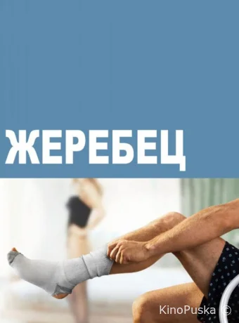 Жеребец (сериал, 2009) 1-3 сезон смотреть онлайн на Лордфильм