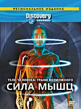 Тело человека. Грани возможного (сериал, 2008) 1 сезон смотреть онлайн на Лордфильм