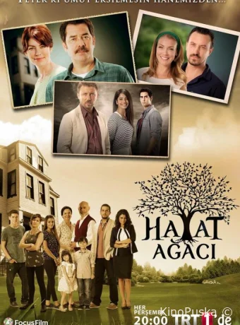 Дерево жизни (сериал, 2014) 1 сезон смотреть онлайн на Лордфильм