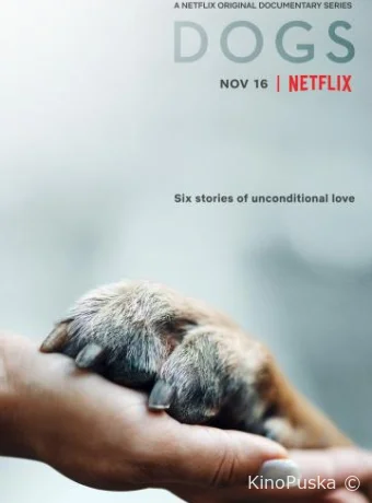 Собаки (сериал, 2018) 1-2 сезон смотреть онлайн на Лордфильм