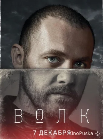 Волк (сериал, 2020) 1 сезон смотреть онлайн на Лордфильм