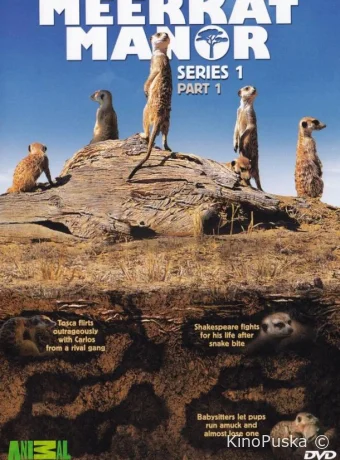 Поместье сурикат (сериал, 2005) 1-4 сезон смотреть онлайн на Лордфильм