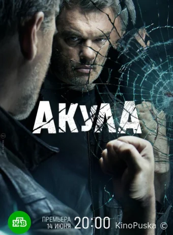 Акула (сериал, 2022) 1 сезон смотреть онлайн на Лордфильм