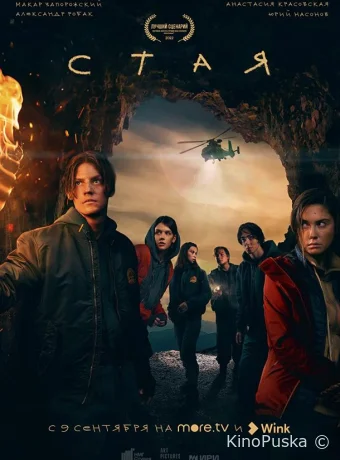 Стая (сериал, 2022) 1 сезон смотреть онлайн на Лордфильм