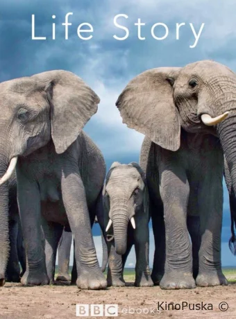 История жизни (сериал, 2014) 1 сезон смотреть онлайн на Лордфильм