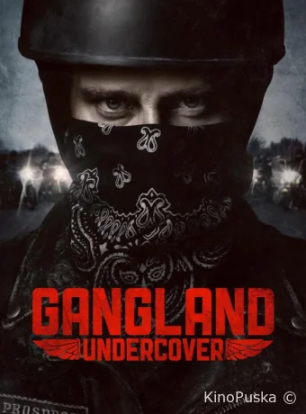 Под прикрытием (сериал, 2015) 1-2 сезон смотреть онлайн на Лордфильм