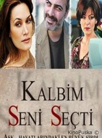 Мое сердце выбрало тебя (сериал, 2011) 1 сезон смотреть онлайн на Лордфильм