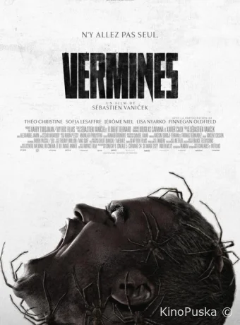 Паутина страха (фильм, 2023) смотреть онлайн на Лордфильм