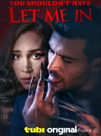 Тебе не стоило меня впускать (фильм, 2024) смотреть онлайн на Лордфильм