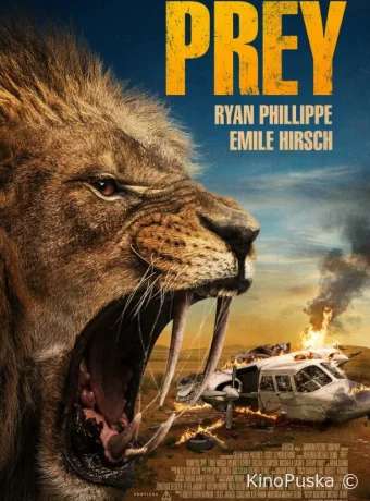 Выжить в Калахари (фильм, 2024) смотреть онлайн на Лордфильм