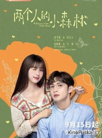 Роман в маленьком лесу (сериал, 2022) 1 сезон смотреть онлайн на Лордфильм