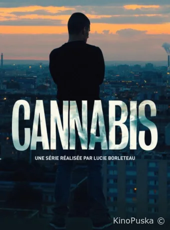 Каннабис (сериал, 2016) 1 сезон смотреть онлайн на Лордфильм