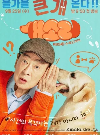 Пёсель знает всё (сериал, 2024) 1 сезон смотреть онлайн на Лордфильм