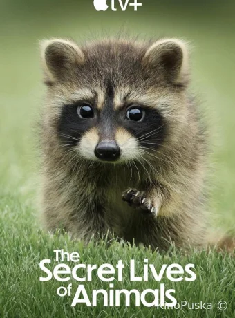 Тайная жизнь животных (сериал, 2024) 1 сезон смотреть онлайн на Лордфильм