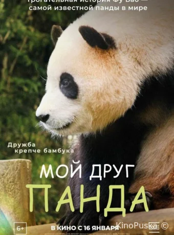 Мой друг панда (фильм, 2024) смотреть онлайн на Лордфильм