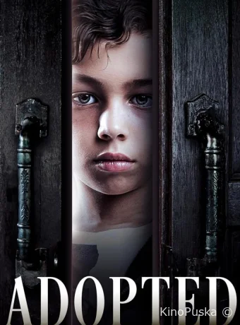 Приемный сын (фильм, 2024) смотреть онлайн на Лордфильм