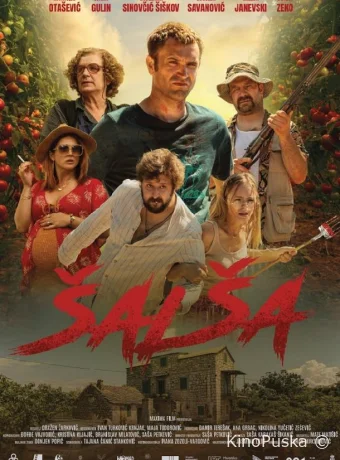 Сальса (фильм, 2024) смотреть онлайн на Лордфильм