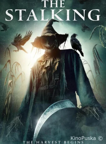 Преследование (фильм, 2024) смотреть онлайн на Лордфильм