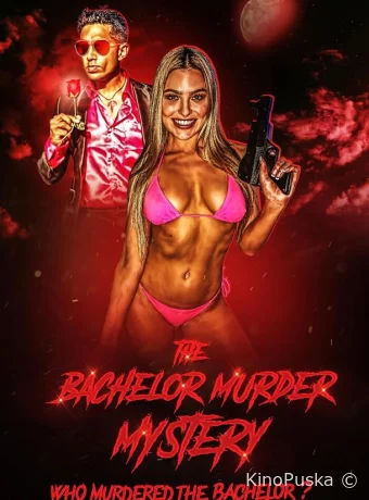 Тайна убийства холостяка: Кто убил холостяка? (фильм, 2023) смотреть онлайн на Лордфильм