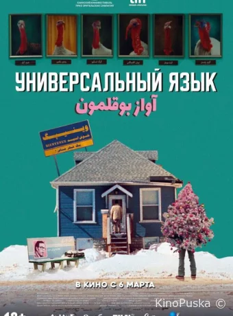 Универсальный язык (фильм, 2024) смотреть онлайн на Лордфильм