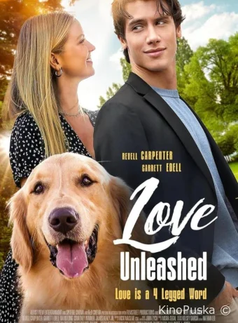 В поисках любви (фильм, 2025) смотреть онлайн на Лордфильм