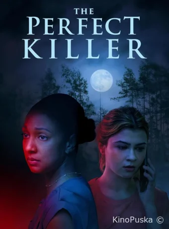 Идеальный убийца (фильм, 2025) смотреть онлайн на Лордфильм