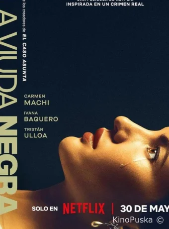 Игра вдовы (фильм, 2025) смотреть онлайн на Лордфильм