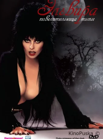 Эльвира, Повелительница тьмы (фильм, 1988) смотреть онлайн на Лордфильм