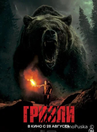 Гризли (фильм, 2025) смотреть онлайн на Лордфильм