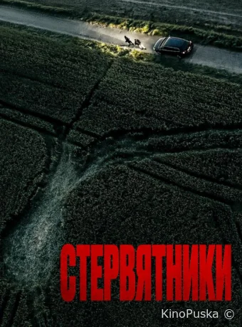 Стервятники (фильм, 2025) смотреть онлайн на Лордфильм