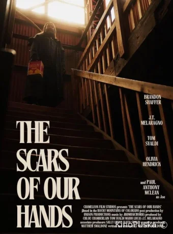 Шрамы на наших руках (фильм, 2025) смотреть онлайн на Лордфильм