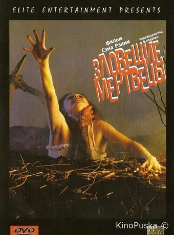Зловещие мертвецы (фильм, 1981) смотреть онлайн на Лордфильм