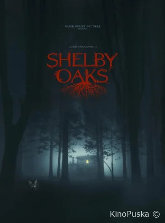 Шелби Оукс. Город-призрак (фильм, 2024) смотреть онлайн на Лордфильм