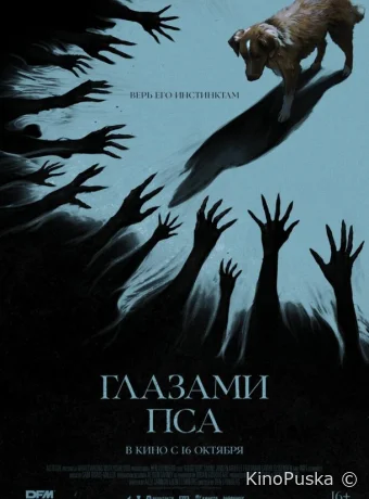 Глазами пса (фильм, 2025) смотреть онлайн на Лордфильм
