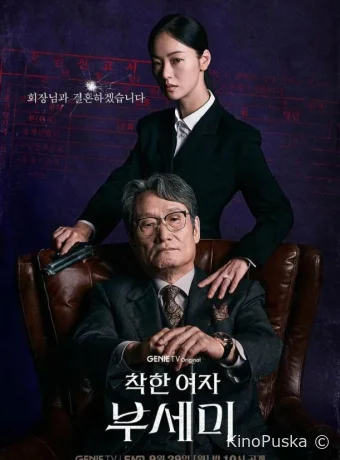Госпожа Инкогнито / Хорошая женщина Бу Се Ми (сериал, 2025) 1 сезон смотреть онлайн на Лордфильм