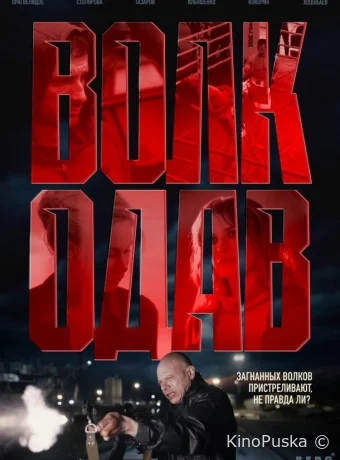 Волкодав (сериал, 2025) 1 сезон смотреть онлайн на Лордфильм