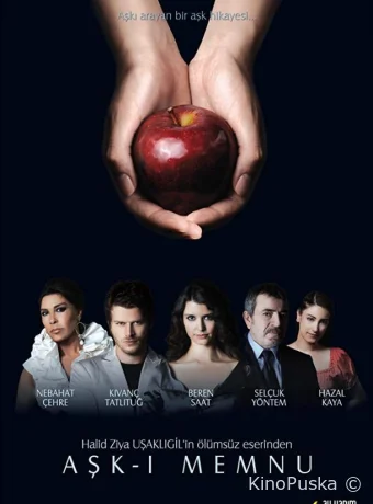 Запретная любовь (сериал, 2008) 1-2 сезон смотреть онлайн на Лордфильм